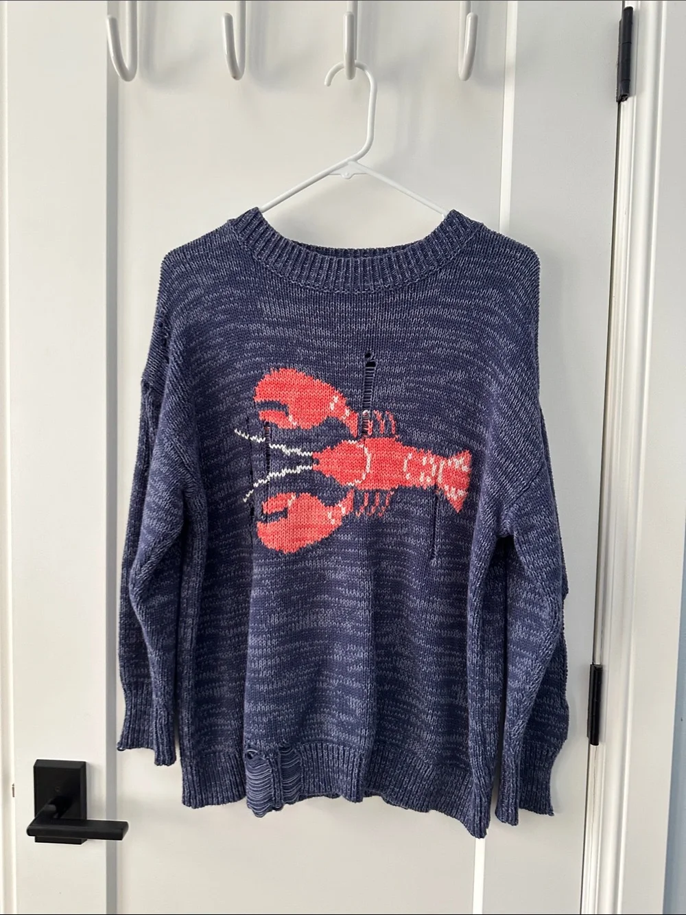 Navy Sweater with Coral Lobster Motif
